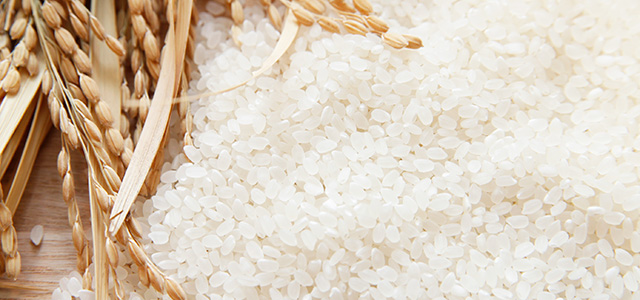 High grade Japanese rice specialty shop